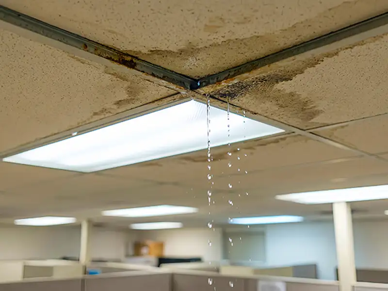 Water dripping from a stained and damaged ceiling tile in an office space.