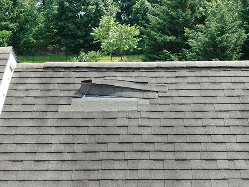 Damaged roof shingles lifted and missing on a gray shingled roof with trees in the background.