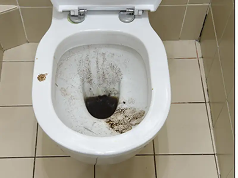 Toilet bowl with dark stains and dirt inside and on the rim.