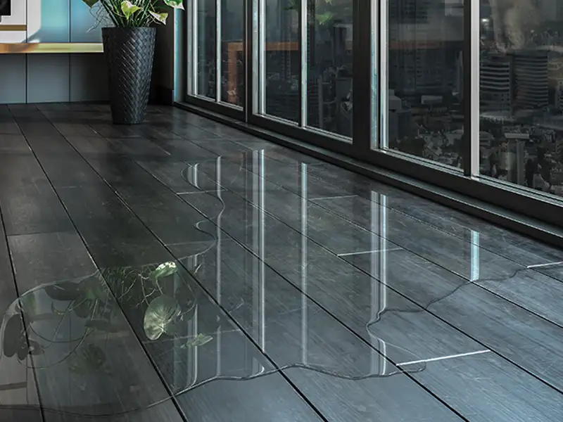 Water spilled on a dark wooden floor near large windows and a potted plant.